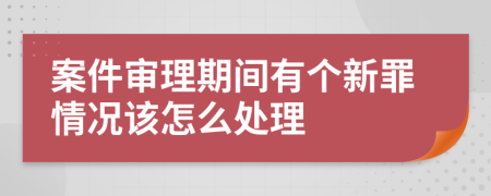 案件审理期间有个新罪情况该怎么处理