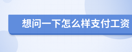 想问一下怎么样支付工资