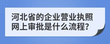 河北省的企业营业执照网上审批是什么流程？