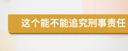 这个能不能追究刑事责任