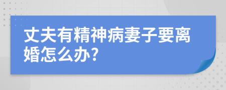 丈夫有精神病妻子要离婚怎么办?