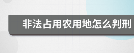 非法占用农用地怎么判刑