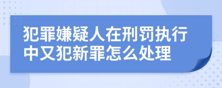 犯罪嫌疑人在刑罚执行中又犯新罪怎么处理