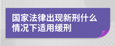 国家法律出现新刑什么情况下适用缓刑