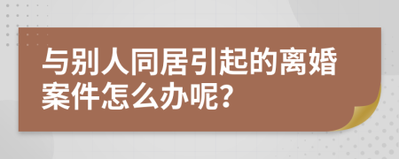 与别人同居引起的离婚案件怎么办呢？