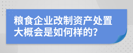 粮食企业改制资产处置大概会是如何样的？