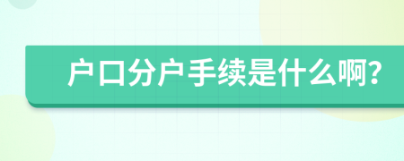 户口分户手续是什么啊？