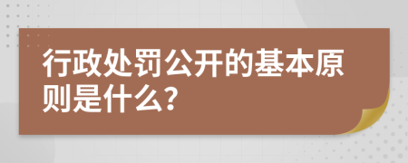 行政处罚公开的基本原则是什么？