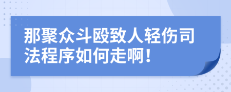 那聚众斗殴致人轻伤司法程序如何走啊！