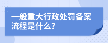 一般重大行政处罚备案流程是什么？