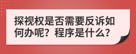 探视权是否需要反诉如何办呢？程序是什么？