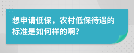 想申请低保，农村低保待遇的标准是如何样的啊？