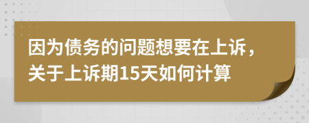 因为债务的问题想要在上诉，关于上诉期15天如何计算