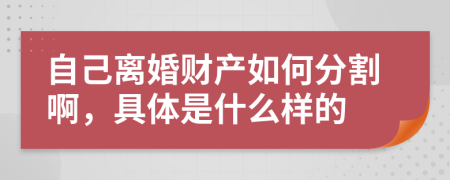 自己离婚财产如何分割啊，具体是什么样的