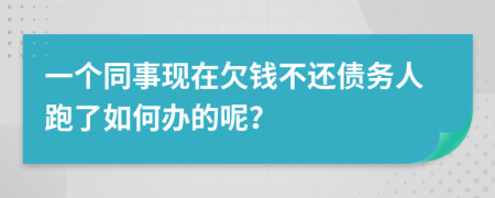 一个同事现在欠钱不还债务人跑了如何办的呢？