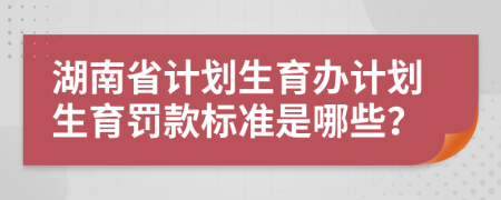 湖南省计划生育办计划生育罚款标准是哪些？