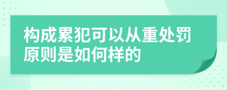 构成累犯可以从重处罚原则是如何样的