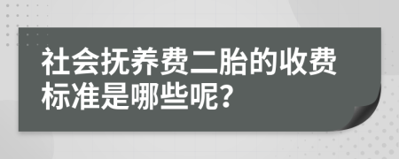 社会抚养费二胎的收费标准是哪些呢？