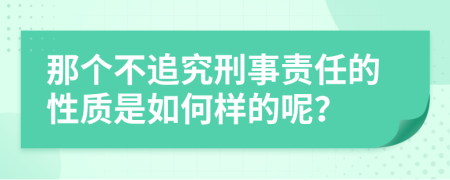 那个不追究刑事责任的性质是如何样的呢？