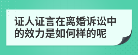 证人证言在离婚诉讼中的效力是如何样的呢