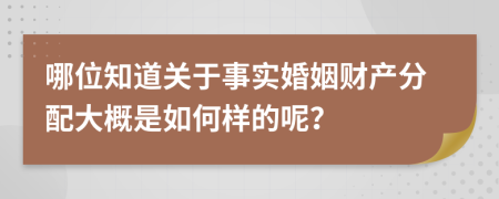 哪位知道关于事实婚姻财产分配大概是如何样的呢？