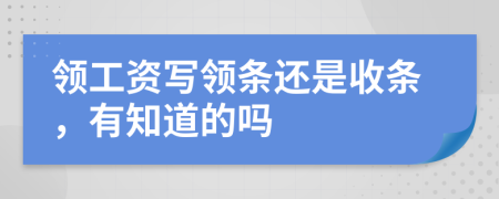 领工资写领条还是收条，有知道的吗