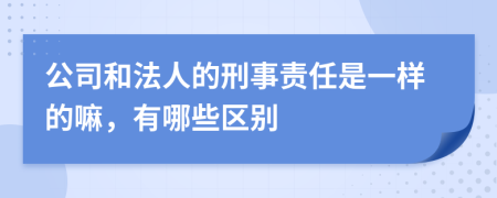 公司和法人的刑事责任是一样的嘛，有哪些区别