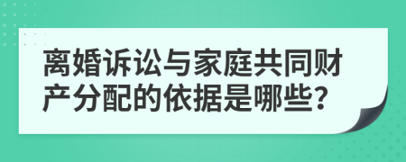 离婚诉讼与家庭共同财产分配的依据是哪些？