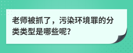 老师被抓了，污染环境罪的分类类型是哪些呢？