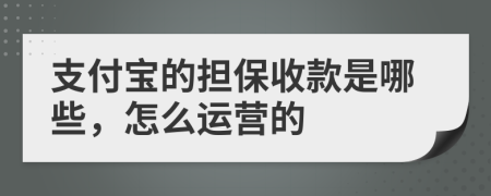 支付宝的担保收款是哪些，怎么运营的