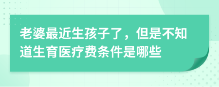 老婆最近生孩子了，但是不知道生育医疗费条件是哪些