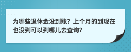 为哪些退休金没到账？上个月的到现在也没到可以到哪儿去查询？