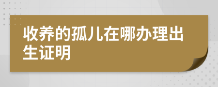 收养的孤儿在哪办理出生证明