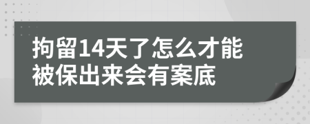 拘留14天了怎么才能被保出来会有案底