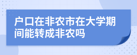 户口在非农市在大学期间能转成非农吗