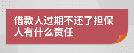 借款人过期不还了担保人有什么责任