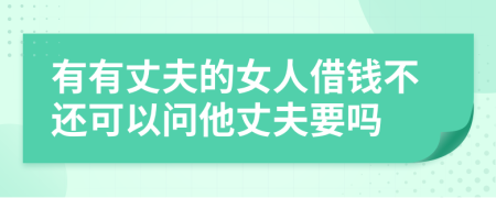 有有丈夫的女人借钱不还可以问他丈夫要吗