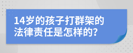 14岁的孩子打群架的法律责任是怎样的？