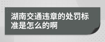 湖南交通违章的处罚标准是怎么的啊