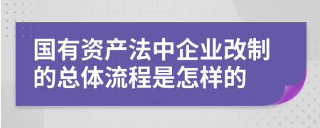 国有资产法中企业改制的总体流程是怎样的