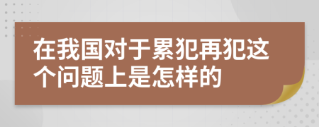 在我国对于累犯再犯这个问题上是怎样的