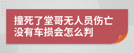 撞死了堂哥无人员伤亡没有车损会怎么判