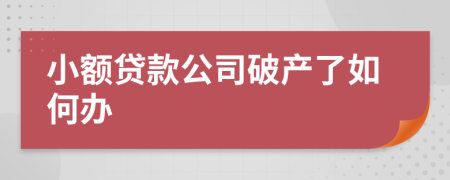 小额贷款公司破产了如何办