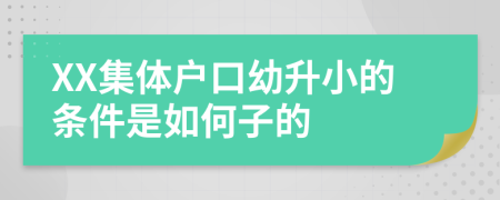 XX集体户口幼升小的条件是如何子的