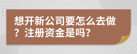 想开新公司要怎么去做？注册资金是吗？