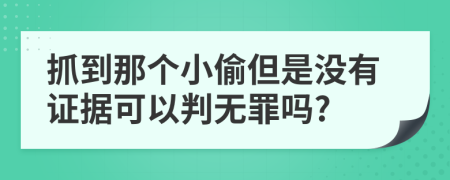 抓到那个小偷但是没有证据可以判无罪吗?