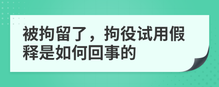 被拘留了，拘役试用假释是如何回事的