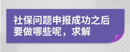 社保问题申报成功之后要做哪些呢，求解