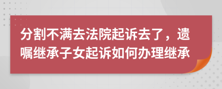 分割不满去法院起诉去了，遗嘱继承子女起诉如何办理继承