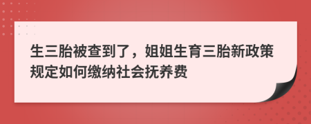 生三胎被查到了，姐姐生育三胎新政策规定如何缴纳社会抚养费